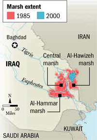 Iraq Great Salt Marsh: 1985 to 2000